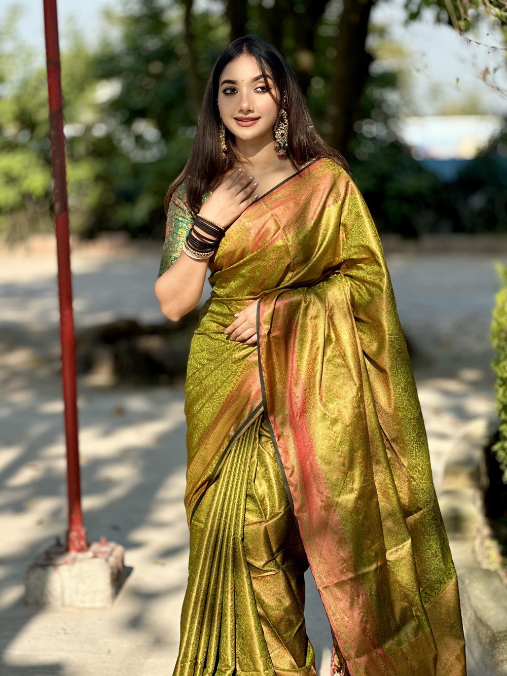 কাঞ্জিভরম শাড়ি